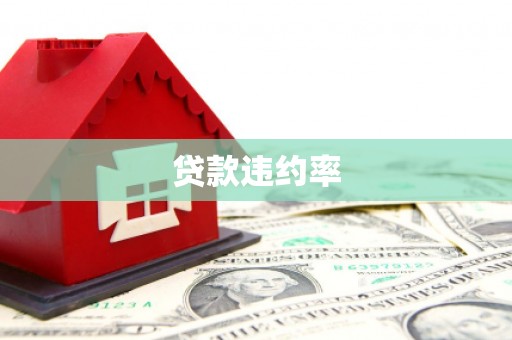 潢川贷款违约率