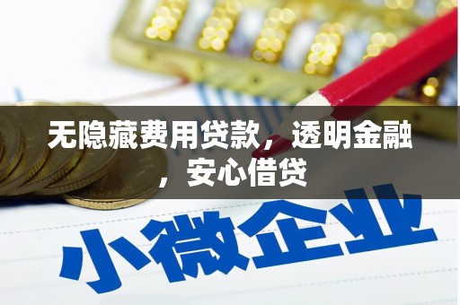 潢川无隐藏费用贷款，透明金融，安心借贷