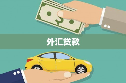 潢川外汇贷款