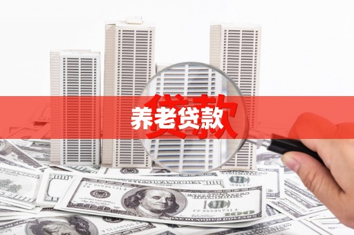 潢川养老贷款