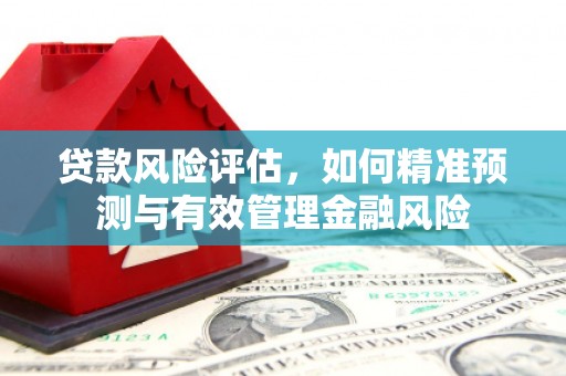 潢川贷款风险评估，如何精准预测与有效管理金融风险