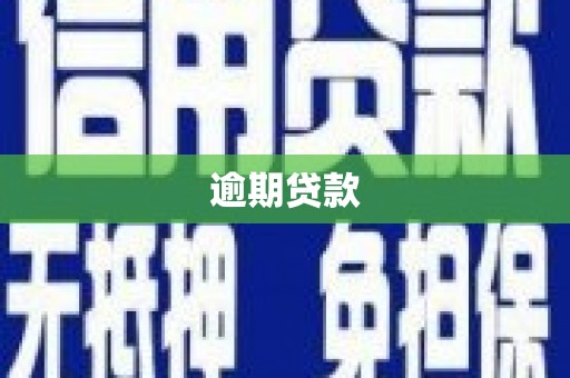 潢川逾期贷款