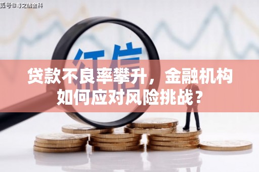 潢川贷款不良率攀升，金融机构如何应对风险挑战？