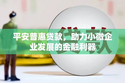 潢川平安普惠贷款，助力小微企业发展的金融利器