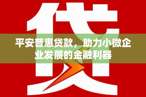 潢川平安普惠贷款，助力小微企业发展的金融利器