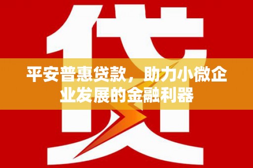 潢川平安普惠贷款，助力小微企业发展的金融利器