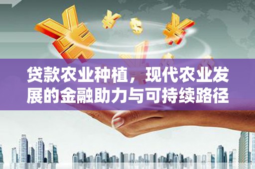 潢川贷款农业种植，现代农业发展的金融助力与可持续路径