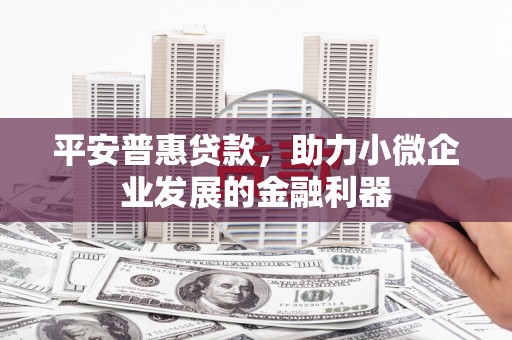 潢川平安普惠贷款，助力小微企业发展的金融利器