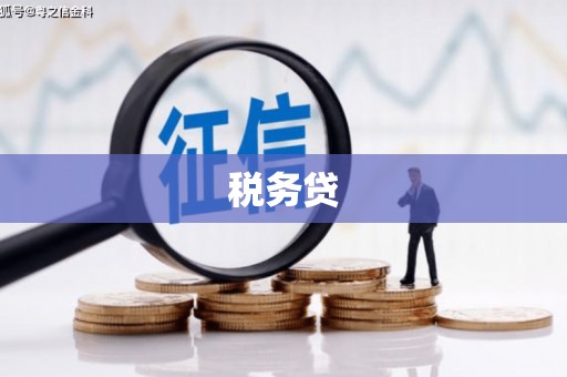 潢川税务贷