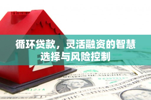 潢川循环贷款，灵活融资的智慧选择与风险控制