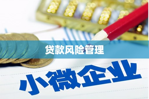 潢川贷款风险管理