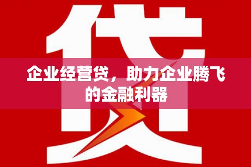 潢川企业经营贷，助力企业腾飞的金融利器
