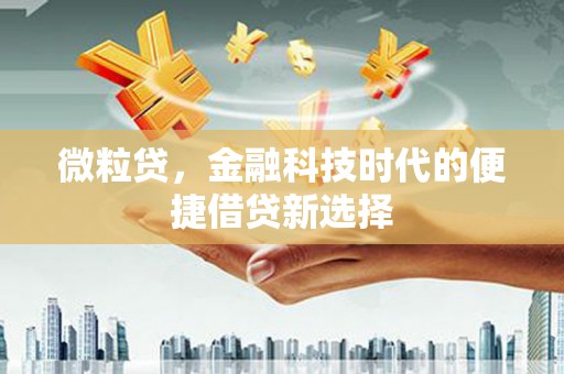 潢川微粒贷，金融科技时代的便捷借贷新选择
